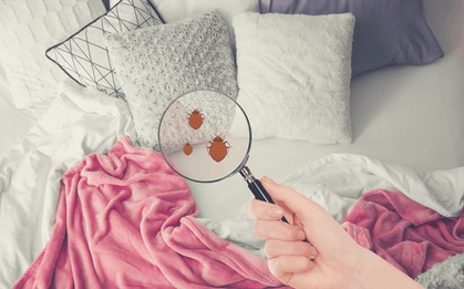 Hóa ra các khách sạn luôn có "bảo bối" dưới ga giường, bảo sao nệm nằm vừa êm lại còn bền