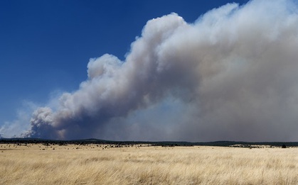 Mỹ: Cháy rừng kỷ lục bùng phát ngoài tầm kiểm soát ở bang New Mexico