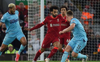 Nhận định, soi kèo, dự đoán Newcastle vs Liverpool, vòng 35 Ngoại hạng Anh