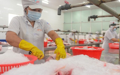 NÓNG: Đề xuất hỗ trợ mức đóng BHYT cho thân nhân của người lao động