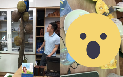 Cây mít mọc giữa văn phòng của một công ty nhưng vẫn mãnh liệt sống và sai quả, nhân viên tiện tay hái một quả bất ngờ ở bên trong
