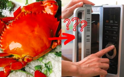Nên hay không nên cho cua biển vào nấu trong lò vi sóng? Kết quả thí nghiệm gây bất ngờ