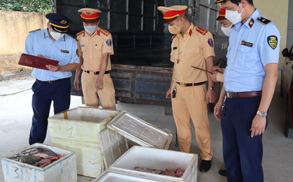 Hơn 1 tạ nội tạng động vật bốc mùi hôi thối suýt bị tuồn ra thị trường tiêu thụ