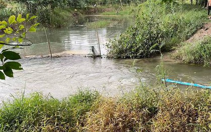 Tìm thấy thi thể 2 nam sinh chết đuối dưới kênh ở Bình Phước