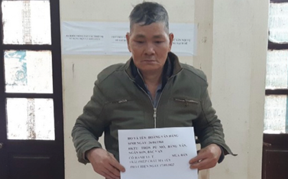 Xé lẻ ma túy "ém" khắp nhà, vườn