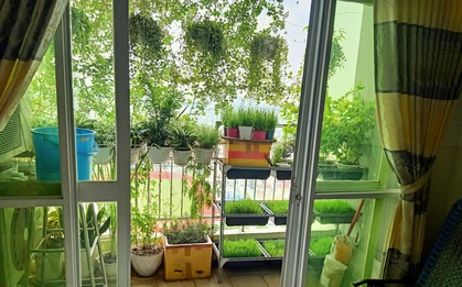 Cách tránh nắng nóng vào mùa hè cho ban công nhà hướng Tây vừa rẻ vừa hiệu quả của mẹ Sài Gòn