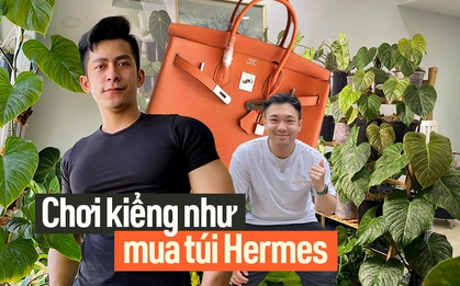 "Săn" lá - thú chơi đắt đỏ như mê túi Hermes: Vài trăm triệu chi ra chưa chắc đủ, đổ công vào vẫn có thể mất trắng