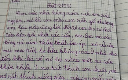 Bài văn tả chú mèo hàng xóm của bé gái tiểu học khiến cộng đồng mạng cười nghiêng ngả
