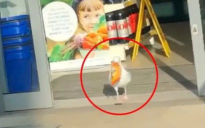 Cửa hàng tạp hóa bị "kẻ gian" ngang nhiên vào trộm đồ giữa ban ngày, có bằng chứng cũng đành bất lực không thể làm gì