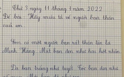Miêu tả bạn thân, bé gái bê khuôn mẫu công chúa cổ tích vào bài khiến dân mạng cười ngất