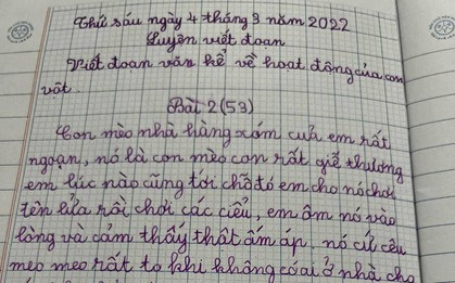 Bài văn tả chú mèo hàng xóm của bé gái tiểu học khiến cộng đồng mạng cười nghiêng ngả