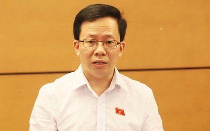 ĐBQH: Về nhà vợ hay chồng không nói gì cũng có thể xem là bạo lực gia đình