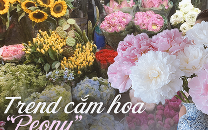 Thú chơi cắm hoa peony trong nhà được nhiều chị em theo đuổi, mặc kệ giá lên đến vài trăm nghìn đồng/bông, nghe lí do ai cũng bất ngờ