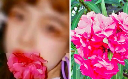 Ngậm hoa “sống ảo” và cái kết đắng của blogger Trung Quốc