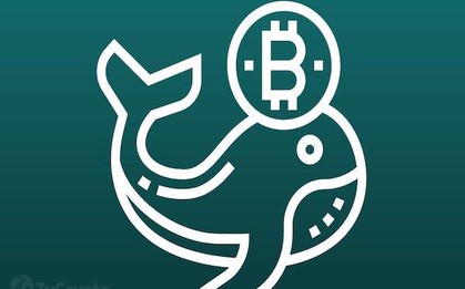 Binance nhảy vào bắt đáy, chặn đà Bitcoin giảm sâu