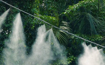 Thêm vài cách giải nhiệt cho nhà cửa, có nắng nóng đỉnh điểm cũng đỡ sợ