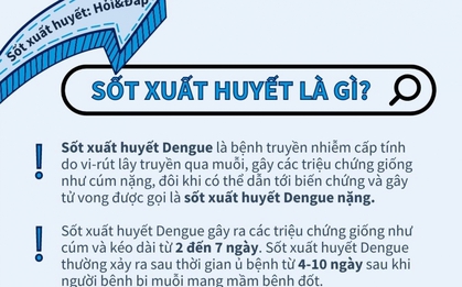 WHO hướng dẫn nhận biết và xử trí sốt xuất huyết thể nặng