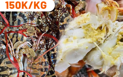 Ghẹ nang đỏ Quảng Ninh ngập chợ với giá chỉ từ 150 nghìn đồng/kg