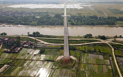 Ảnh: Người dân phơi thóc, chăn thả gia súc trên cây cầu được đầu tư cả trăm tỷ