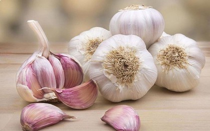 Đi chợ nên mua tỏi trắng hay tỏi tím thì tốt cho sức khỏe?