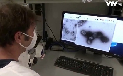 CDC Mỹ đẩy nhanh phân phối vaccine phòng bệnh đậu mùa khỉ