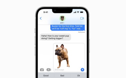 Tính năng mới trên iOS 16 giúp tách nền ảnh dễ dàng chỉ trong chớp mắt!