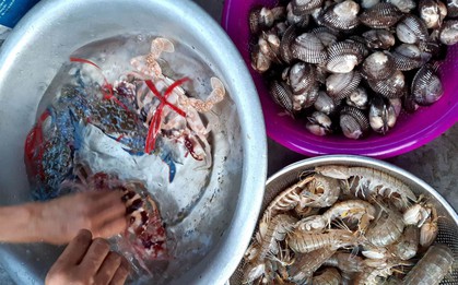 Giá xăng dầu tăng cao, càng ra khơi càng lỗ, nhiều tàu cá nằm bờ, hải sản khan hàng tăng giá