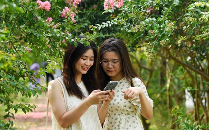 Phát "sốt" với con đường hoa tường vi đẹp như mơ ở Hà Nội