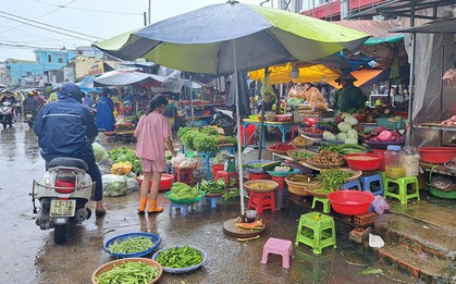 Phú Quốc: Hành lá vượt ngưỡng hơn 250.000 đồng/kg