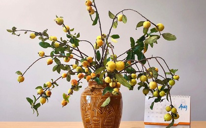 Cành táo mèo đầu mùa giá rẻ bất ngờ, chị em thích thú mua cắm chơi