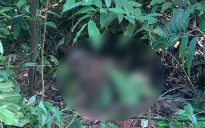 Thi thể quấn chăn, buộc dây nghi là nam sinh mất tích 1 tuần