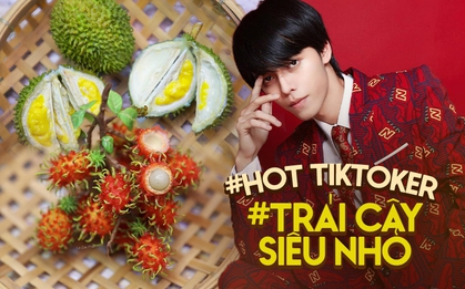 Quay video làm trái cây siêu nhỏ từ bột đắp móng tay, hot TikToker "ôm" hàng loạt clip triệu view