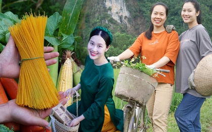 Nữ MC bỏ phố về quê khởi nghiệp mì ngô: Làm thật chứ không vì trào lưu, sức khỏe cải thiện