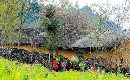 Bảo tồn, phát huy văn hóa truyền thống dân tộc Mông và Hà Nhì gắn với phát triển du lịch