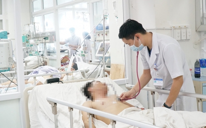 Ngộ độc tập thể nghi do ăn ấu trùng ve sầu