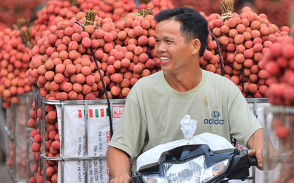 Ảnh: Người dân Bắc Giang "cõng" hàng tạ vải thiều đi bán từ 5h sáng khiến đường phố đỏ rực, tắc dài