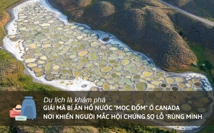 Lý giải bí ẩn hồ nước “mọc đốm” ở Canada: Nơi khiến người mắc hội chứng sợ lỗ "rùng mình"