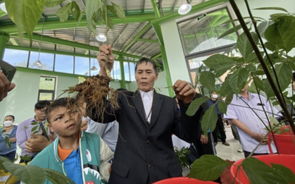 Quảng Nam muốn làm lễ hội sâm quốc gia năm 2023
