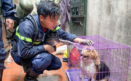 Bức ảnh xúc động về chàng chiến sĩ cứu hỏa trước khi hy sinh vì làm nhiệm vụ: Lời nhắn nhủ thân thương tràn đầy sự tử tế