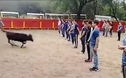 Thầy giáo ở Mexico gây tranh cãi khi bắt sinh viên xếp thành 3 hàng ngay trước mặt bò tót