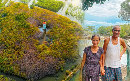 Vợ chồng già tình nguyện làm “kiểm lâm viên” bảo vệ khu rừng ngập mặn nguyên sinh