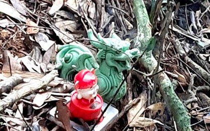 Lạnh người nghe kể về khu rừng nơi phát hiện 2 bộ xương người trên võng
