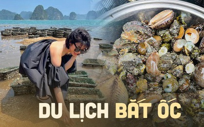 Đi biển vào dịp lễ 2/9 nhưng ngoài tham quan còn để trải nghiệm bắt ốc và chế biến tại chỗ cực kì lý thú