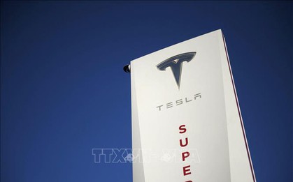Rắc rối pháp lý "bủa vây" hãng xe điện Tesla của tỷ phú công nghệ Elon Musk