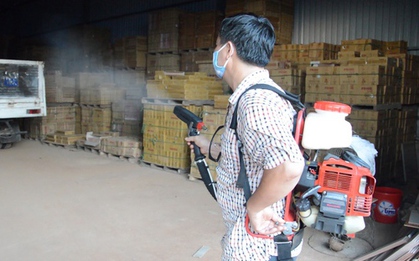 Sốt xuất huyết trở nặng, gia đình đành xin đưa thai phụ về nhà và tử vong sau đó