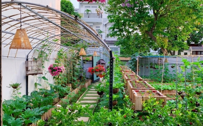 Hướng dẫn chăm sóc cây cảnh tại nhà vào mùa đông