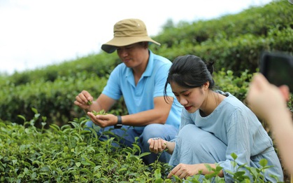 Phát triển du lịch nông thôn gắn với phát huy tiềm năng, lợi thế về nông nghiệp, làng nghề