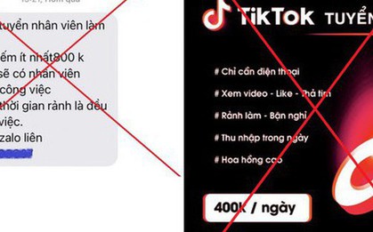 Tham gia kiếm tiền trên ứng dụng TikTok, một phụ nữ bị lừa gần 300 triệu đồng