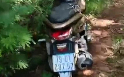 Phát hiện thi thể hai người trong nương rẫy