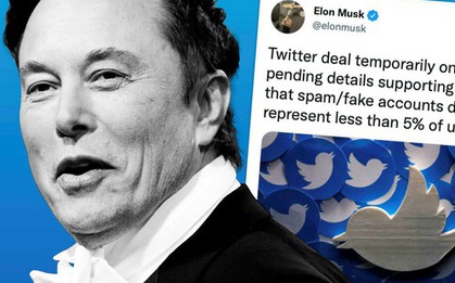 Elon Musk bị lừa kí vào thỏa thuận mua bán Twitter?